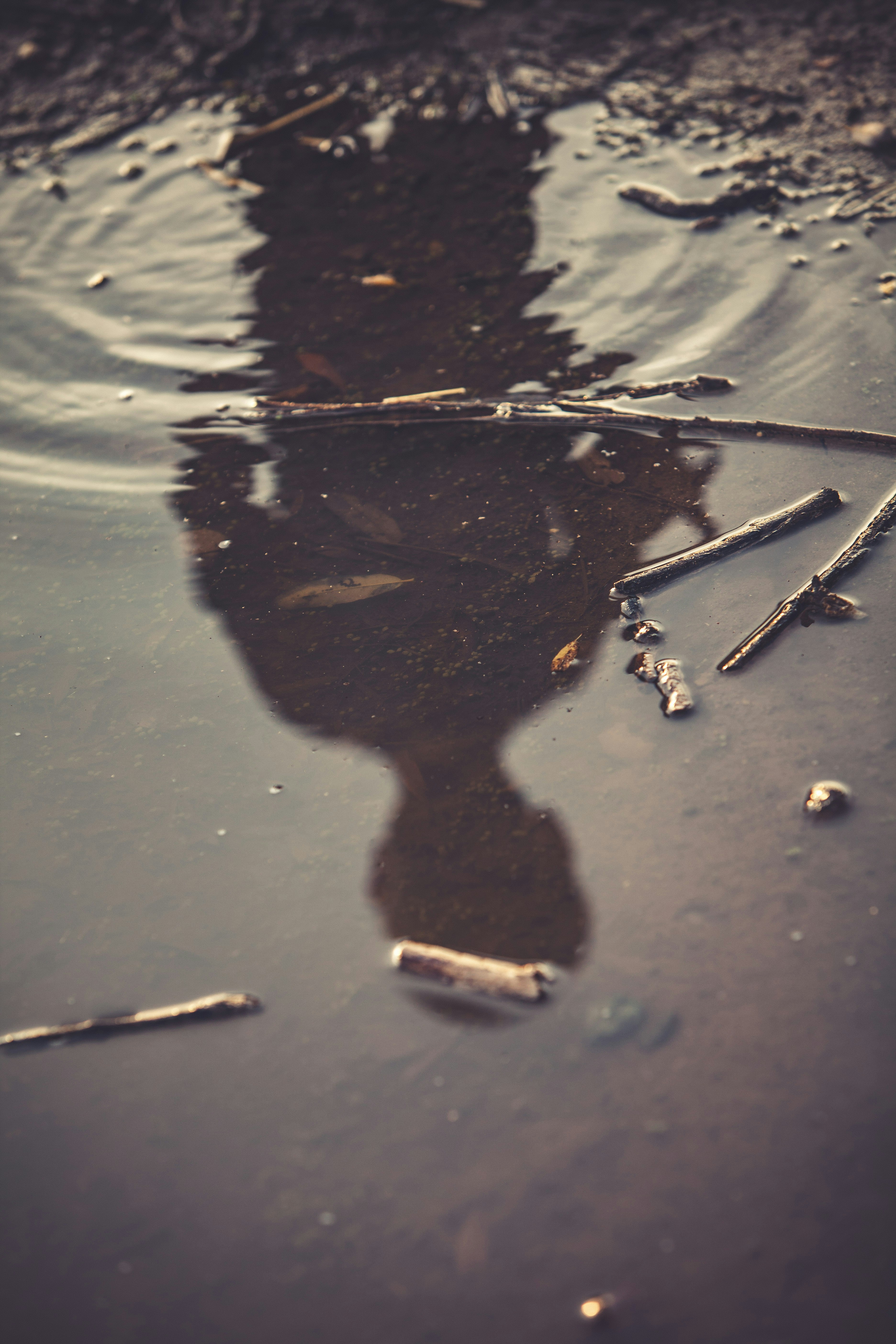 What Are the Different Categories and Classes of Water Damage, and Why Do They Matter?