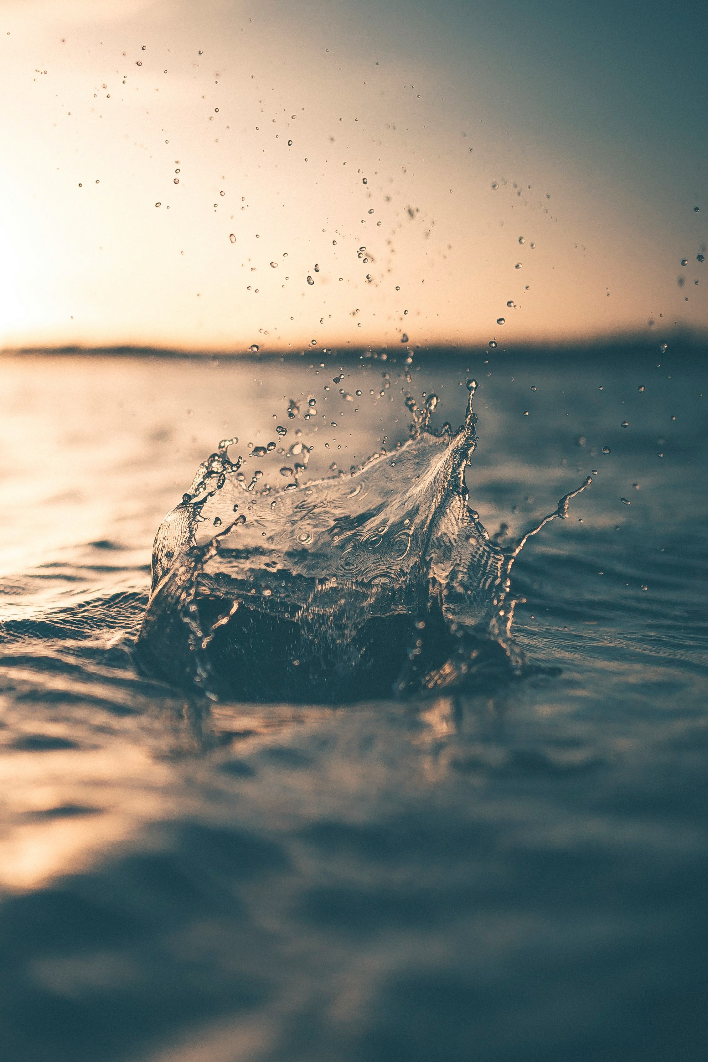 Will My Homeowner’s Insurance Cover Water Damage and Restoration Costs?